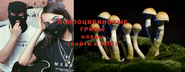 mdpv Арсеньев