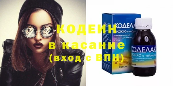 хмурый Аркадак