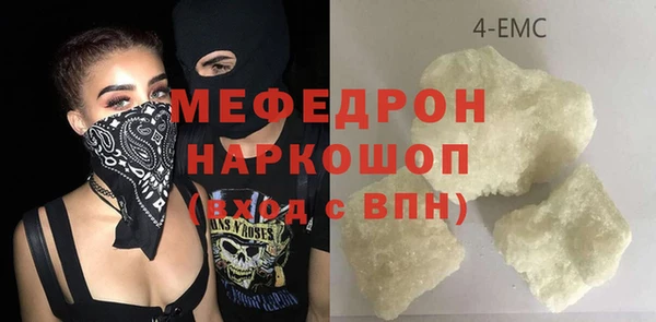 хмурый Аркадак