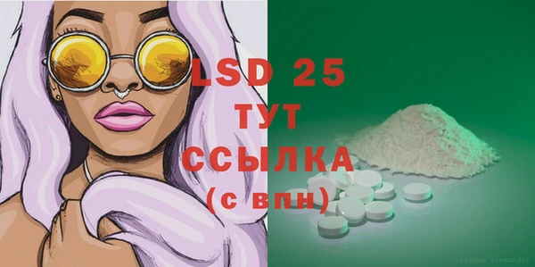 хмурый Аркадак