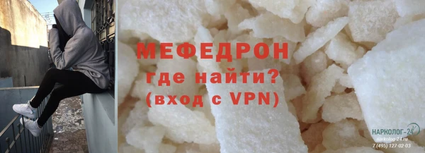 хмурый Аркадак