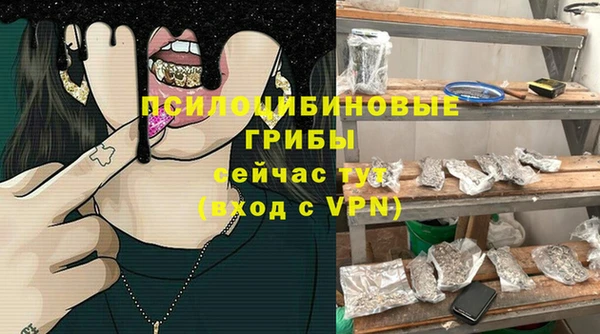 mdpv Арсеньев