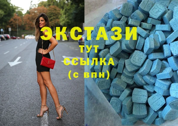 хмурый Аркадак
