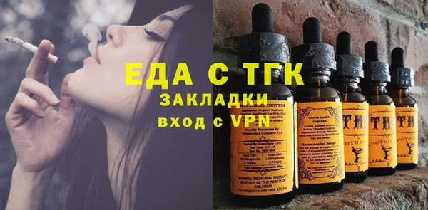 хмурый Аркадак