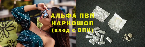 хмурый Аркадак