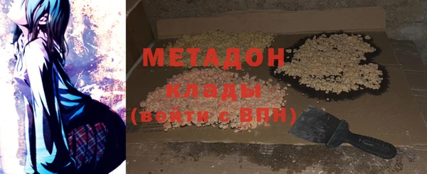хмурый Аркадак