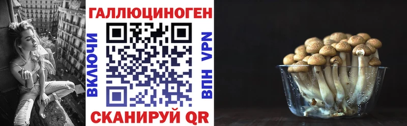 Галлюциногенные грибы Cubensis  ОМГ ОМГ tor  Макарьев 